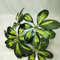 Фикус 35 см. Арт.3107-1
